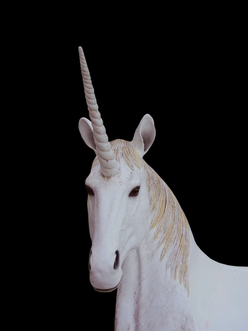 Unicorn Valley